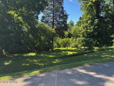 SPECTACULAR WATERFRONT TRACT ON THE LITTLE RIVER! This property - photo 3