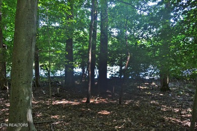 SPECTACULAR WATERFRONT TRACT ON THE LITTLE RIVER! This property - photo 5