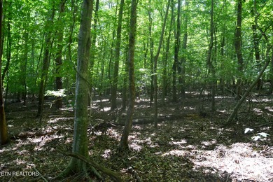 SPECTACULAR WATERFRONT TRACT ON THE LITTLE RIVER! This property - photo 6