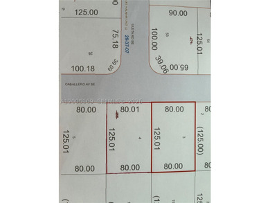 This opportunity for a double lot of 0.46 acres in a central - photo 5