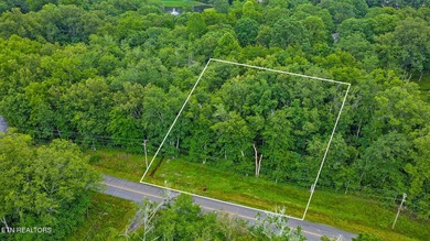 Great Lake Tansi lot! Nice sized level lot. Located on a paved - photo 2