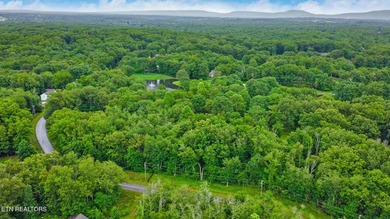 Great Lake Tansi lot! Nice sized level lot. Located on a paved - photo 3