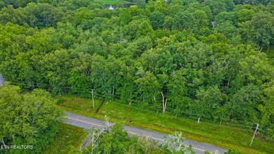 Great Lake Tansi lot! Nice sized level lot. Located on a paved - photo 4