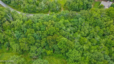 Great Lake Tansi lot! Nice sized level lot. Located on a paved - photo 5