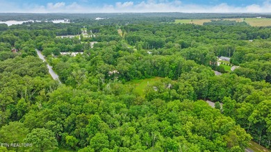 Great Lake Tansi lot! Nice sized level lot. Located on a paved - photo 7