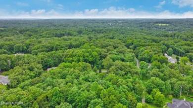 Great Lake Tansi lot! Nice sized level lot. Located on a paved - photo 8