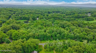 Great Lake Tansi lot! Nice sized level lot. Located on a paved - photo 9