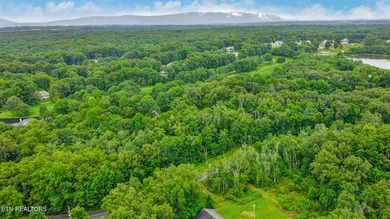Great Lake Tansi lot! Nice sized level lot. Located on a paved - photo 10