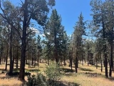 Upper Klamath Lake Lot For Sale in Klamath Falls Oregon
