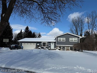 Lake Home For Sale in Howell, Michigan