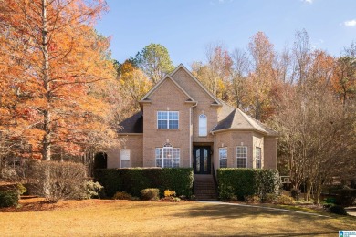 Lake Home Sale Pending in Chelsea, Alabama