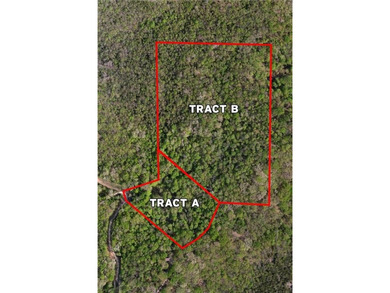 Table Rock Lake - Carroll County Acreage For Sale in Eureka Springs Arkansas