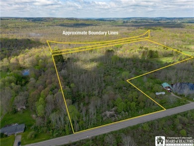 (private lake, pond, coastal) Acreage Sale Pending in Frewsburg New York