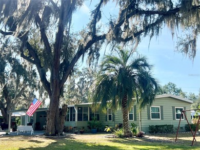 Lake Okahumpka  Home For Sale in Wildwood Florida