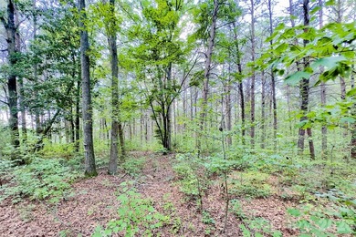 Build your dream home on this large golf course lot located on - photo 8