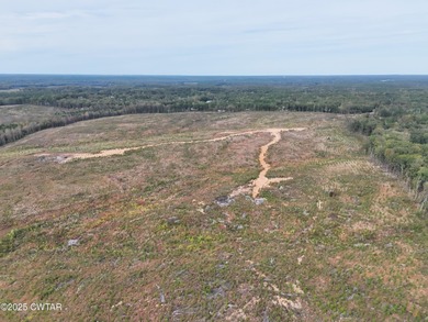 (private lake, pond, creek) Acreage For Sale in Ramer Tennessee