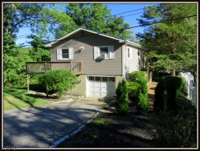 Paulinskill Lake Home For Sale in Stillwater Township New Jersey