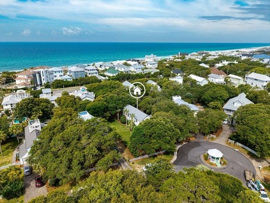 Camp Creek Lake Home For Sale in Inlet Beach Florida