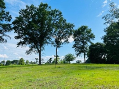 This property has it all! An ideal site to build a home SOLD - Lake Acreage SOLD! in Bronson, Texas