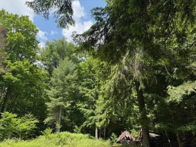 Lake Acreage Sale Pending in Old Forge, New York