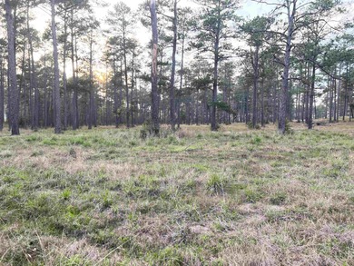 Lake Sam Rayburn  Lot For Sale in Brookeland Texas