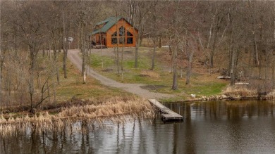 Lake Home For Sale in Saint Mathias Twp, Minnesota