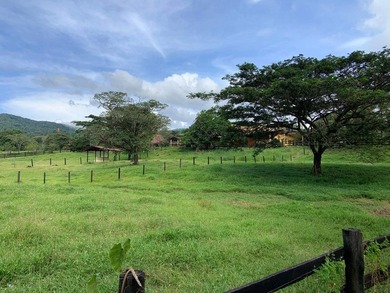 Exceptional Titled Estate for Sale in Utive, Pacora - 469 - photo 3