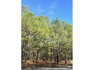 Broken Bow Lake Lot For Sale in Broken Bow Oklahoma
