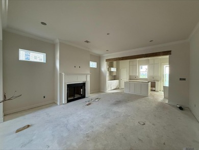 Charming *Duplessis* floor plan by Level Homes, underway in - photo 4