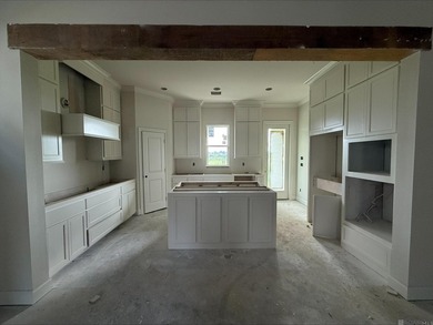 Charming *Duplessis* floor plan by Level Homes, underway in - photo 5