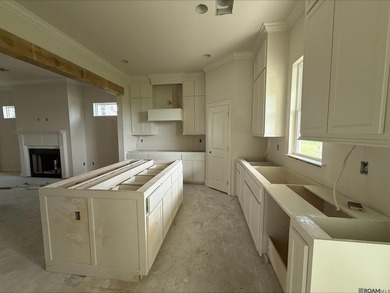 Charming *Duplessis* floor plan by Level Homes, underway in - photo 6