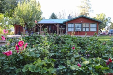 Lake Home For Sale in Austin, Colorado