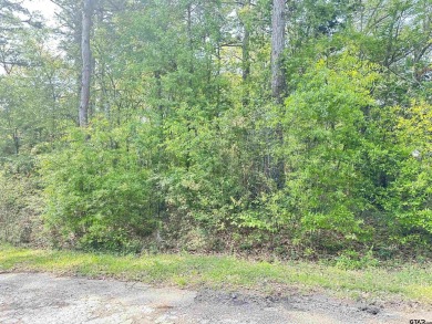 Lake Palestine Lot For Sale in Frankston Texas