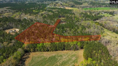 Privacy & Lake! 6.8 acres and a deeded boat slip on Lake Murray! - photo 3