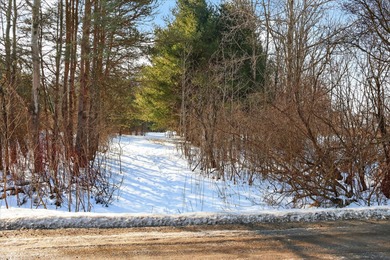 (private lake, pond, creek) Acreage For Sale in Cedar Springs Michigan