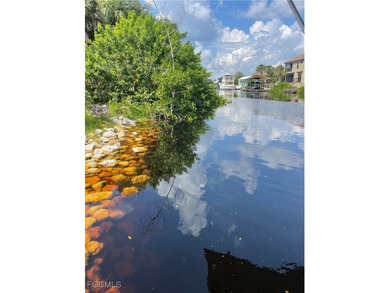 Port Charlotte Waterway Area Lot For Sale in Port Charlotte Florida