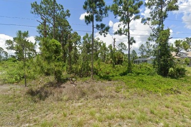 Lehigh Acres Area Lot For Sale in Lehigh Acres Florida