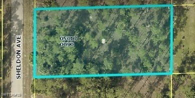 Lehigh Acres Area Lot For Sale in Lehigh Acres Florida