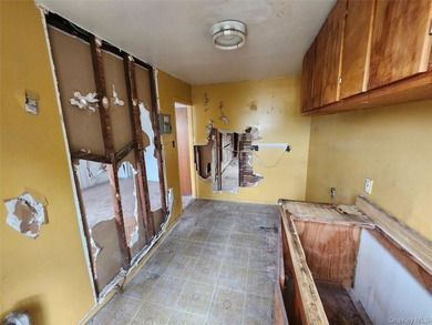 Three unit brownstone, centrally located to all amenities, needs - photo 22