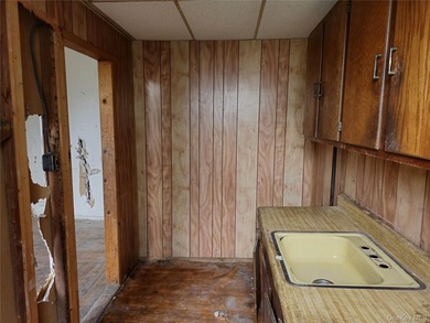 Three unit brownstone, centrally located to all amenities, needs - photo 28