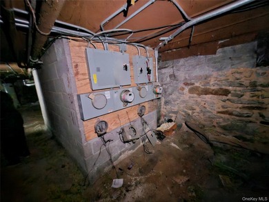 Three unit brownstone, centrally located to all amenities, needs - photo 34