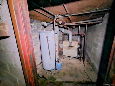 Three unit brownstone, centrally located to all amenities, needs - photo 35