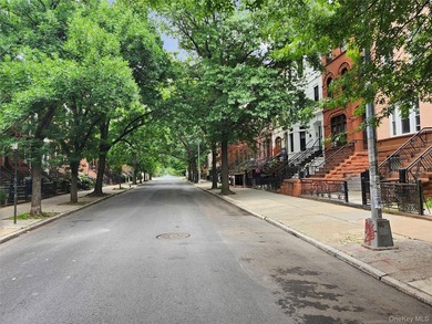 Three unit brownstone, centrally located to all amenities, needs - photo 37