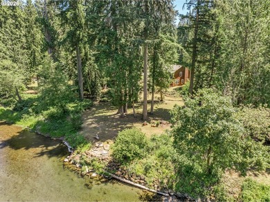 Kalama riverfront acreage! A rare offering along the Kalama - photo 42