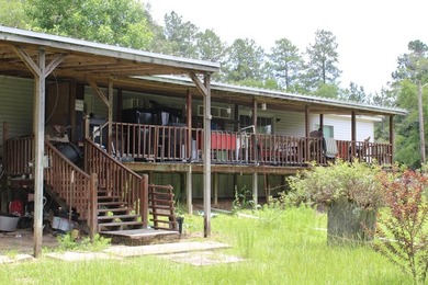 (private lake, pond, creek) Home For Sale in Wiergate Texas