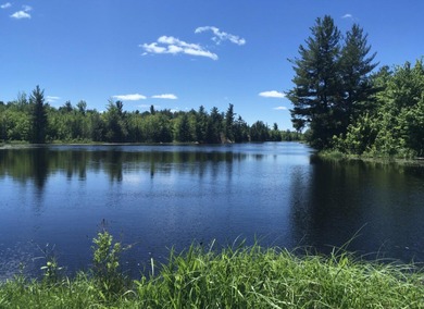 (private lake, pond, creek) Home For Sale in Town of Fowler New York