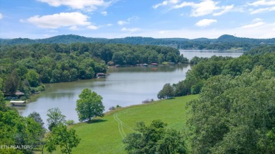 Lake Acreage For Sale in Friendsville, Tennessee