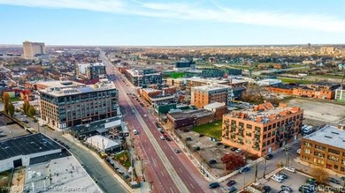 Incredible opportunity to own a piece of historic Detroit! This - photo 36