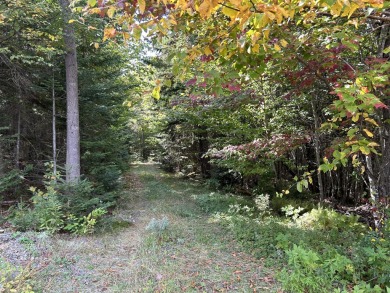 Lake Acreage For Sale in Rangeley Plt, Maine