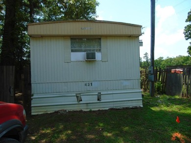 Lake Livingston Home For Sale in Livingston Texas